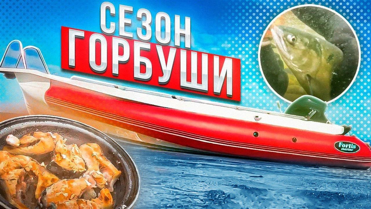 Сезон горбуши 2023: Эксклюзивные секреты от русского эксперта смотреть онлайн