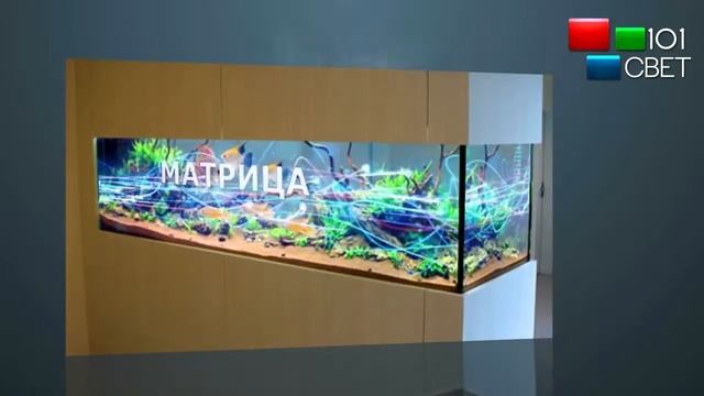 Примеры использования прозрачной видео матрицы смотреть онлайн