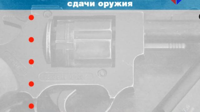 Жители Лесного продолжают сдавать в полицию оружие и боеприпасы смотреть онлайн