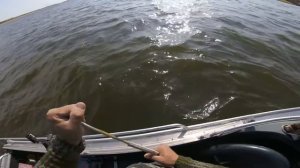 Рыбалка в Астрахани троллинг на сома