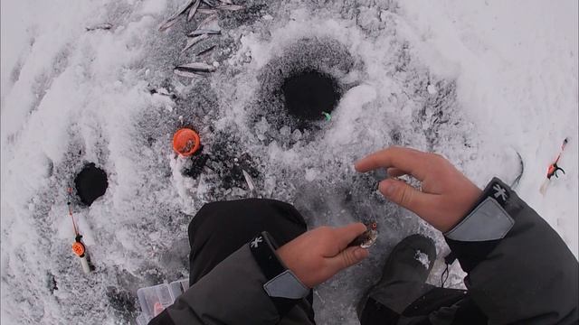 РЫБАЛКА НА КОРЮШКУ СПБ В ФИНСКОМ ЗАЛИВЕ ТОТЛЕБЕН смотреть онлайн