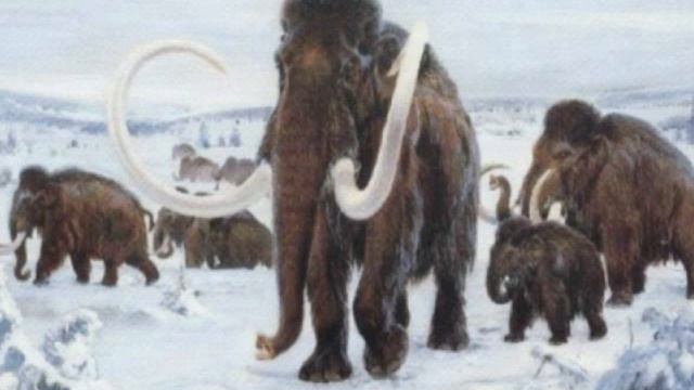 40. Антарктида – не может быть Родиной Человечества! смотреть онлайн