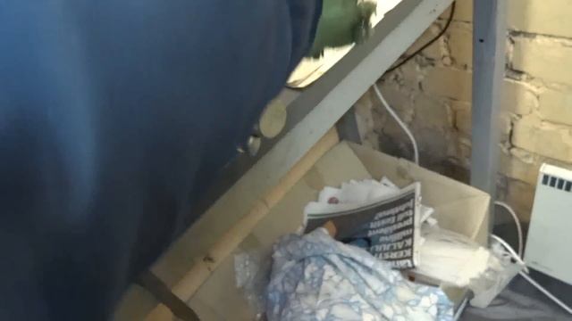 #169. Занимаюсь дальше задним колесом Планета 5 смотреть онлайн