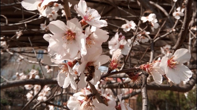 DeeJay Dan - Deep In My Soul 60 [2018] смотреть онлайн