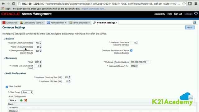 Overview : Oracle Acess Manager Console смотреть онлайн