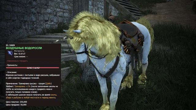 Рысак, Иллюзия Black Desert смотреть онлайн