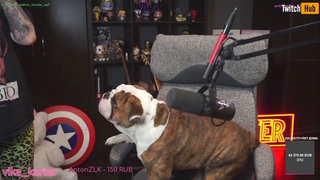 Топ Моменты с Twitch | Попалась на скример | Угрозы Хесусу | Стиль бабочки смотреть онлайн