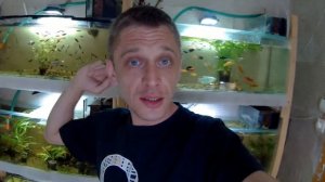 ГУППЯТНИК!!!_НОВЫЕ_ГУППИ!!!_РЕПОРТАЖ_С_РАЗВОДНИ!!!.mp4