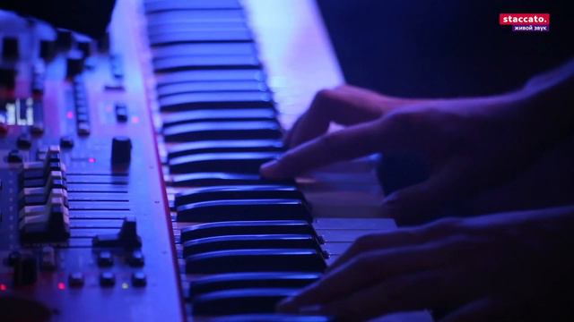 Тима Белорусских — Мокрые кроссы (cover) смотреть онлайн
