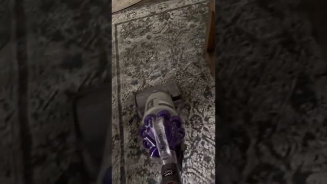 Pre vacuuming before carpet cleaning смотреть онлайн
