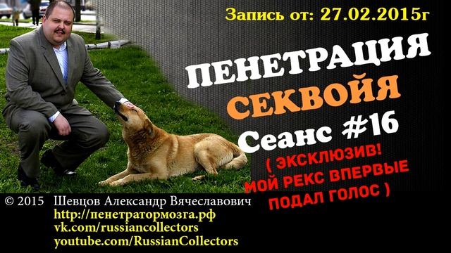Пенетратор Коллекторов (CЕКВОЙЯ #06) ЭКСКЛЮЗИВ! Мой Рекс впервые подал голос смотреть онлайн