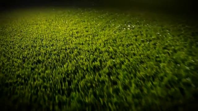 Cадовый райдер кросс-мувер McCulloch M95-66X смотреть онлайн