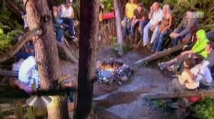 Дом-2. Новая любовь! 831 день(19.08.2006)