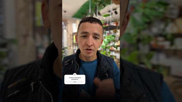 3 СЕКРЕТА ВЫРАЩИВАНИЯ ДИХОНДРЫ #цветы #дихондра смотреть онлайн