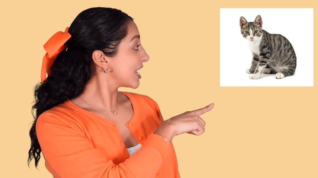 Aprende Peque Con Isa - Canta Y Aprende Español - Desarrollo De Lenguaje Para Niños- Vocabulario