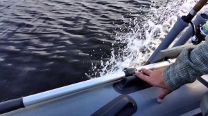 Река Медведица.