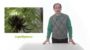 45. Сообщество озера. Часть 2