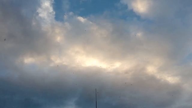 Санкт-Вавилон смотреть онлайн