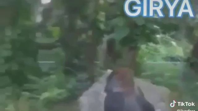 Асада, таранит кто то? смотреть онлайн