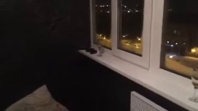 Балкон после утепления смотреть онлайн
