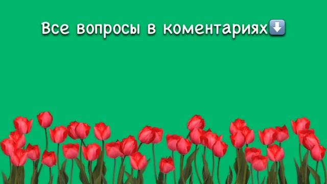 Вопросики ответики часть 1 смотреть онлайн