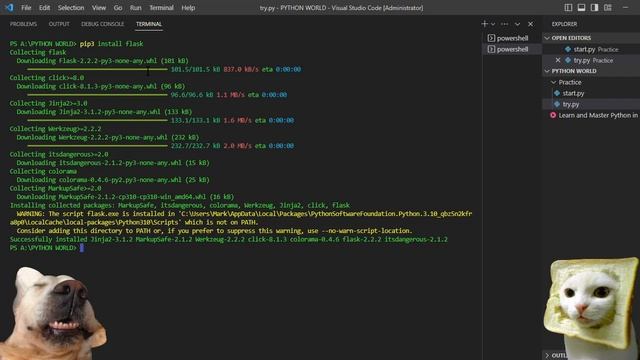 HOW TO INSTALL FLASK MODULE USING MICROSOFT VS CODE IN TERMINAL | PYTHON TUTORIAL 005 смотреть онлайн