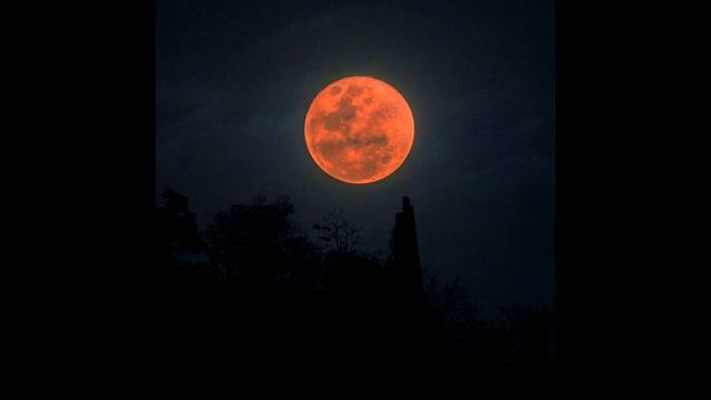 [free for profit] zillakami grunge type beat "blood moon" смотреть онлайн