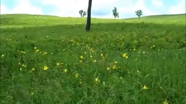 Архаринский & Бурейский районы смотреть онлайн