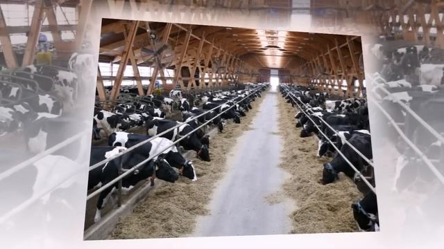 Дочь Сулеймана Керимова стала вкладывать деньги в развитие Дагестана. смотреть онлайн