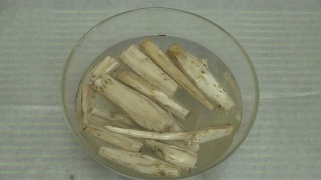 Готовим майские корни лопуха и малосолим побеги иван-чая. смотреть онлайн