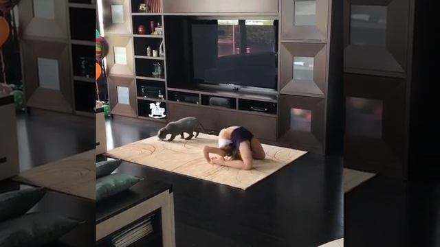 Kristina Shmidt Contortion Chest Roll Combo! смотреть онлайн