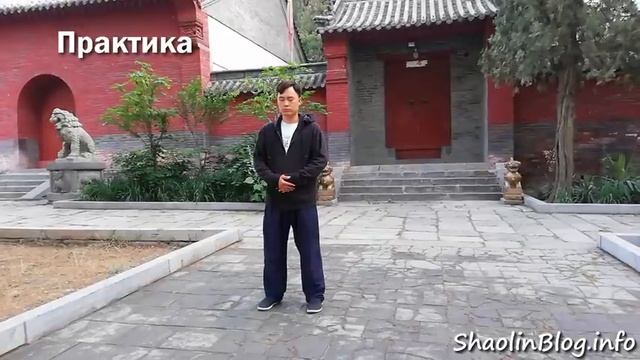 Цигун для начинающих. Урок 1 (русская озвучка, теория+практика) смотреть онлайн