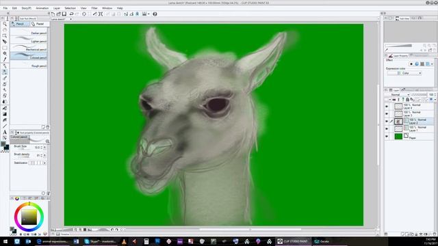 Customer demonstration video of me drawing a Lama from scratch and explaining some of the skills an смотреть онлайн