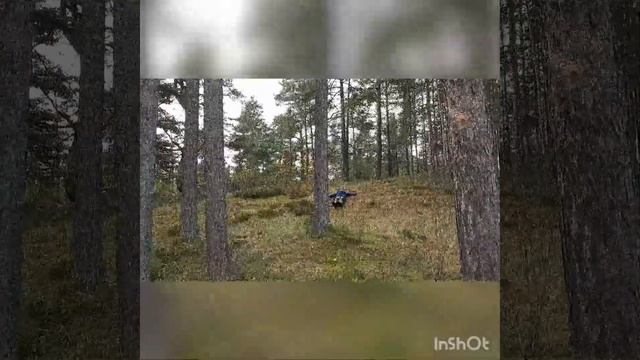 Осенняя сказка в Солнечном. смотреть онлайн