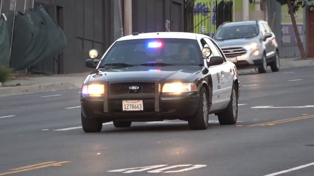 LAPD Slicktop Crown Vic & LASD Crown Vic смотреть онлайн