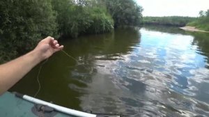 РЫБАЛКА НА ЗАКИДУШКИ.ЛОВЛЮ СОМА.