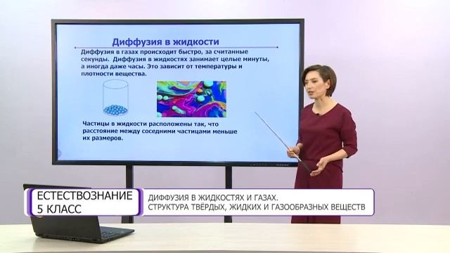 Естествознание. 5 класс. Диффузия в жидкостях и газах смотреть онлайн