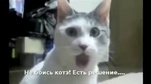 Купить очиститель воды для дома. Фильтры очистители воды Аквафор, Гейзер цена. Хороший, отзывы #1