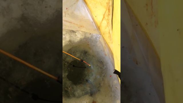 Рыбалка Днепр на льду смотреть онлайн