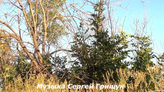 СЕРГЕЙ ГРИЩУК,,ОСЕНЬ,,МУЗЫКА ДЛЯ ДУШИ смотреть онлайн