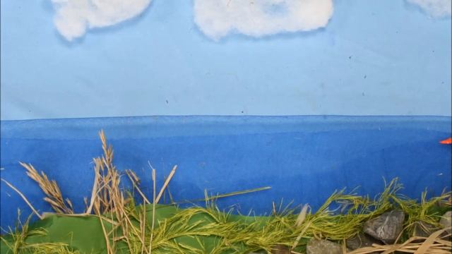 Красная книга ХМАО-Югры смотреть онлайн