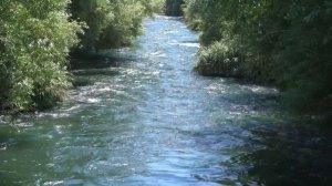 Звук течения реки | Расслабляющие звуки природы для сна, отдыхайте под шум реки и пение птиц.