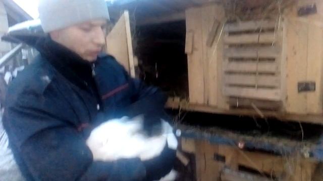 УЛИЧНОЕ содержания КРОЛИКОВ ЗИМОЙ!!! смотреть онлайн