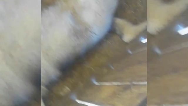 Блог смотреть онлайн