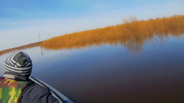 Allaska Boats 460 + SPS 2 15л Long Tail