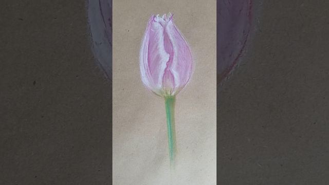 Розовый тюльпан. Масляная пастель смотреть онлайн
