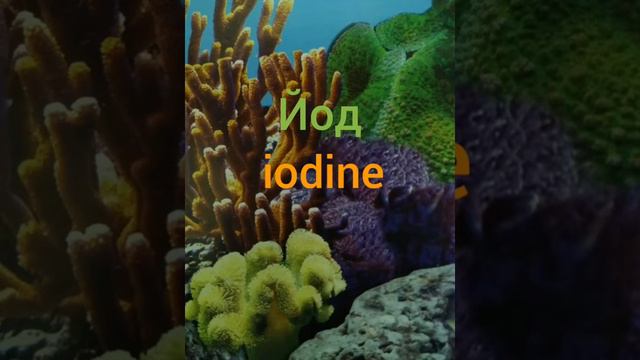 Морской аквариум микроэлементы смотреть онлайн