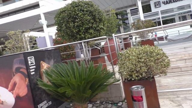 Заглядываю в окна виллы "АРФА-Парк отель". Сап-пловцы и дельфины.Чайки над морем смотреть онлайн