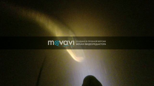 Ночная охота Зима 2019 смотреть онлайн