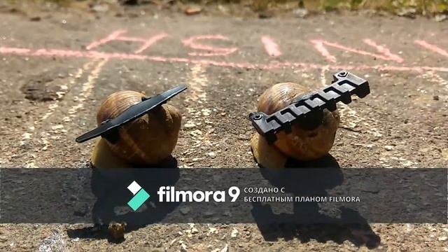 Гонки Улиток Snail Racing смотреть онлайн